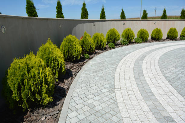 Best Local Driveway Pavers  in Cameron, WI